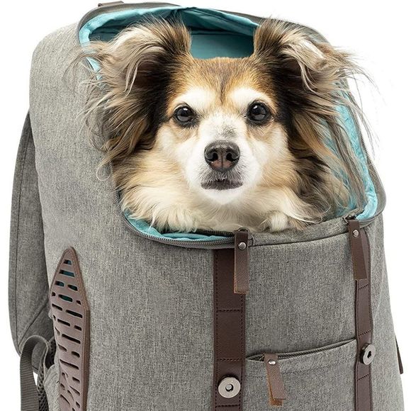Kurgo Dog Carrier Backpack for Small Pets Dogs CatsCatHiking